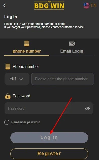 Click the login button